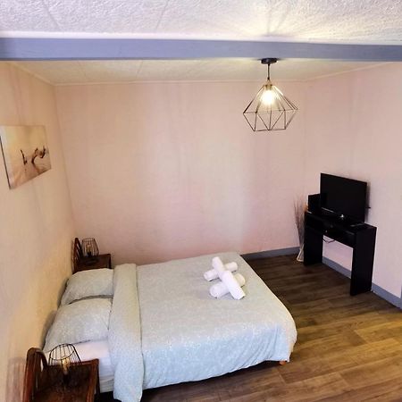 Appartement T1 Bis Quartier Du Chateau De Pau Eksteriør billede